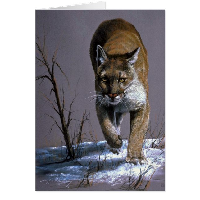 Puma Hälsningskort (Framsidan)