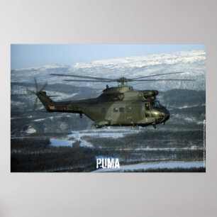Puma helikopter poster