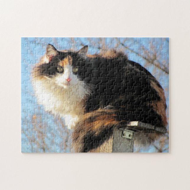 Puma in "Better View" by djoneill Pussel (Horisontell)