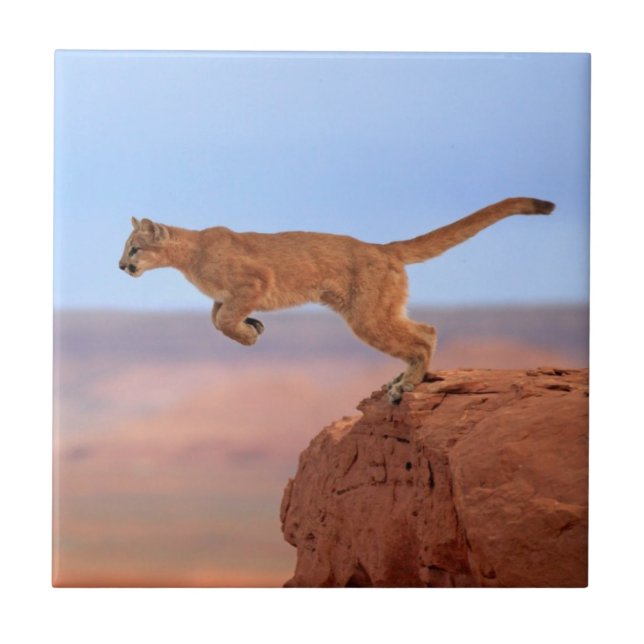 Puma Kakelplatta (Framsidan)