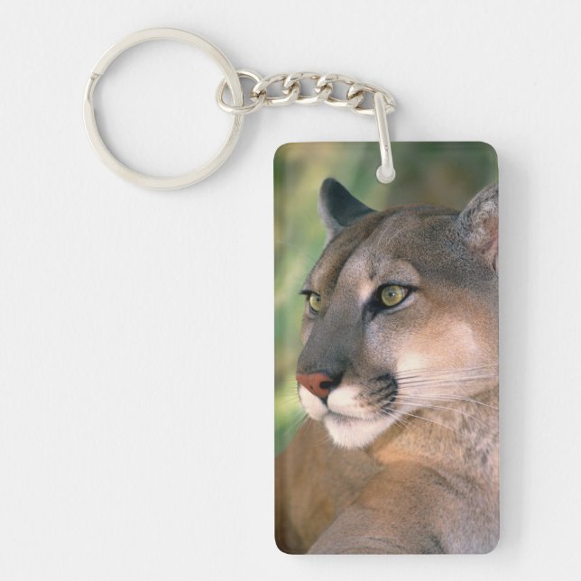 Puma, Kalifornien (Framsidan)