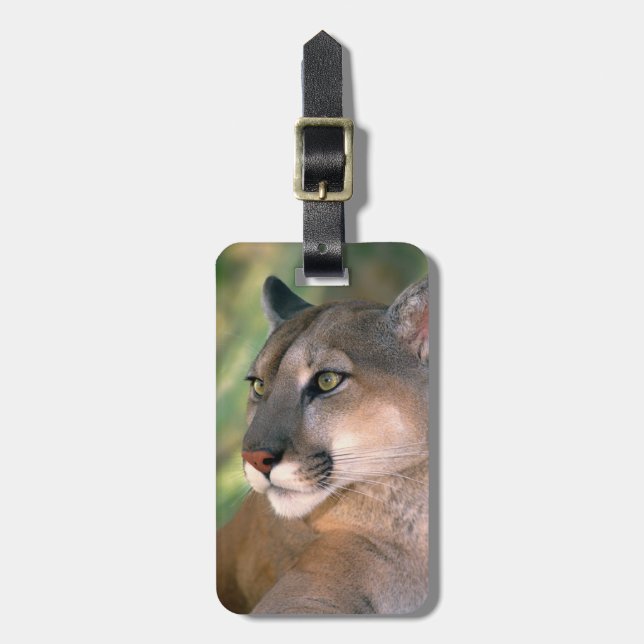 Puma, Kalifornien Bagagebricka (Vertikal Framsida)