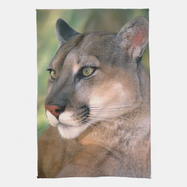 Puma, Kalifornien Kökshandduk (Vertikal)
