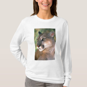 Puma, Kalifornien Tröja