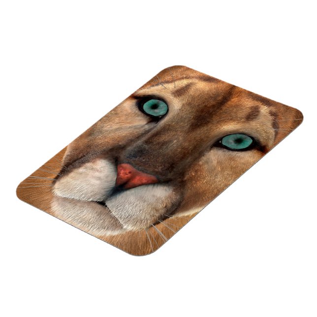 Puma Magnet (Vänstra Sidan)