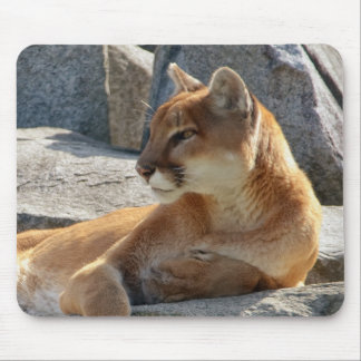 Puma Mousepad Musmatta