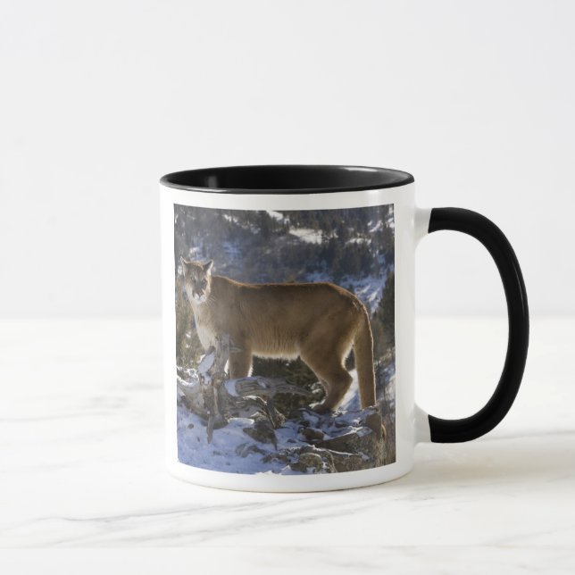 Puma Mugg (Höger)