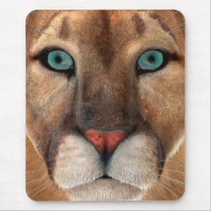 Puma Musmatta