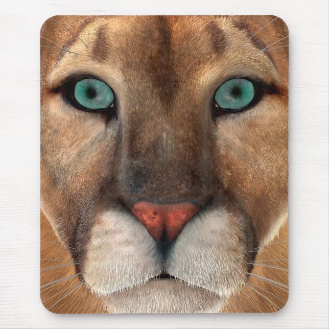 Puma Musmatta (Framsidan)