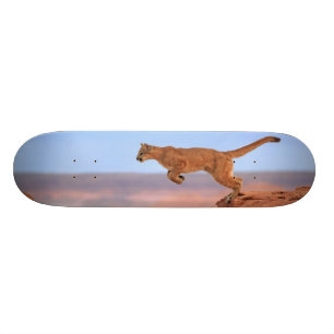 Puma Old School Skateboard Bräda 21,6 Cm