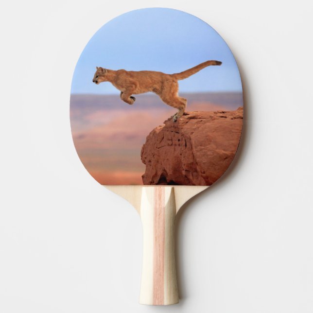Puma Pingisracket (Framsidan)
