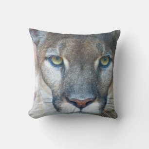 Puma, puma, Florida panter, Puma 2 Kudde
