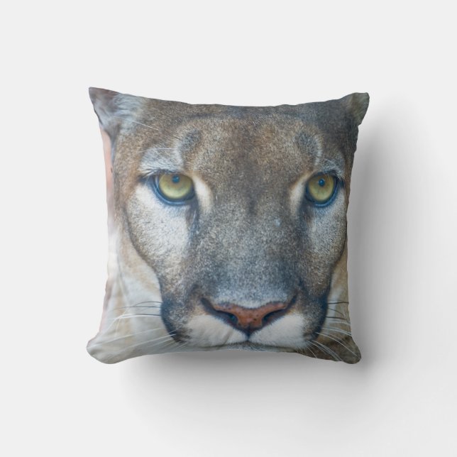 Puma, puma, Florida panter, Puma 2 Kudde (Framsida)