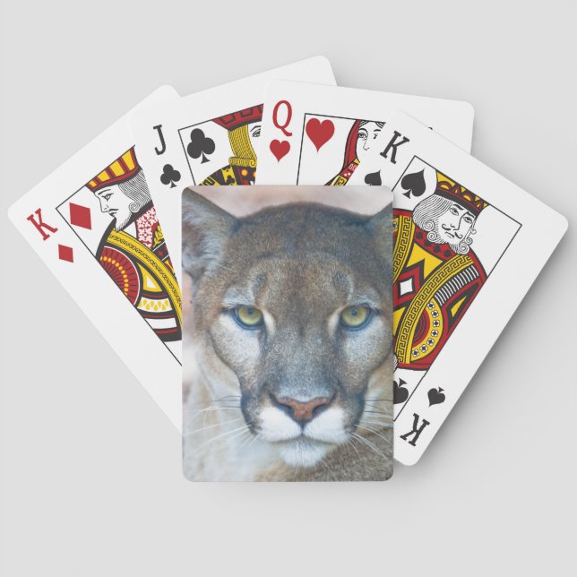 Puma, puma, Florida panther, Puma 2 Spelkort (Baksidan)