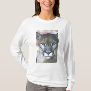 Puma, puma, Florida-panther, Puma Tee Shirt