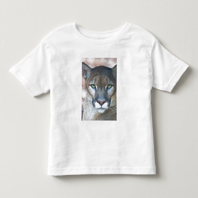 Puma, puma, Florida-panther, Puma Tee Shirt (Framsida)