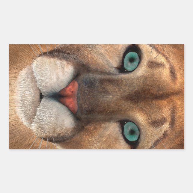 Puma Rektangulärt Klistermärke (Framsida)