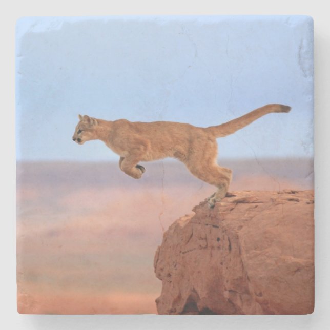 Puma Stenunderlägg (Framsidan)