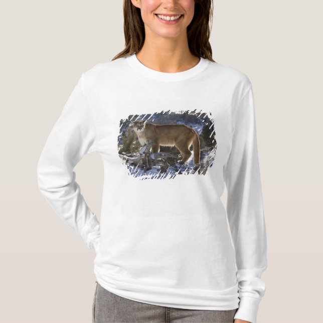 Puma T Shirt (Framsida)