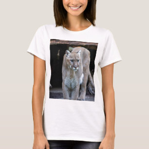 puma t-shirt