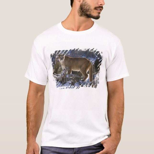 Puma Tee (Framsida)