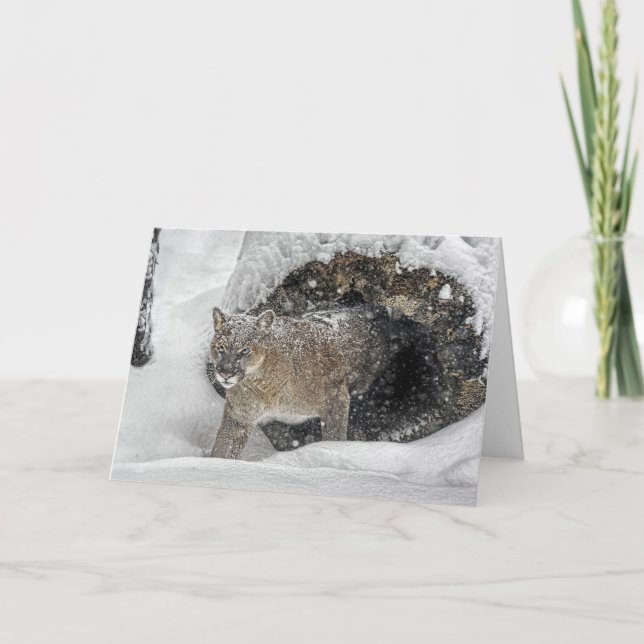 Pumahelgdagkort Helgkort (Framsida)