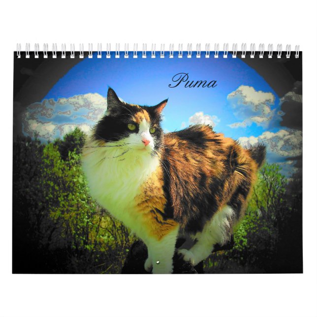 Pumakatt, min SupermodelCalico II Kalender (Omslag)