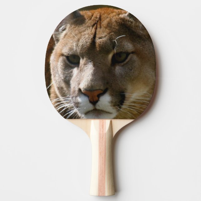 Pumakatt Pingisracket (Framsidan)