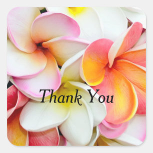 Pumeria Flower Colorful Petals Tack Fyrkantigt Klistermärke