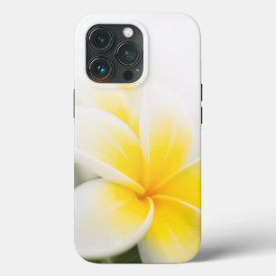 Pumeria OtterBox iphone case