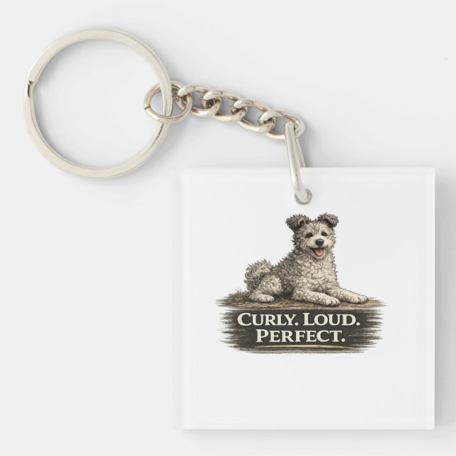 Pumi Hund – Lockig Hög Perfekt (Framsidan)