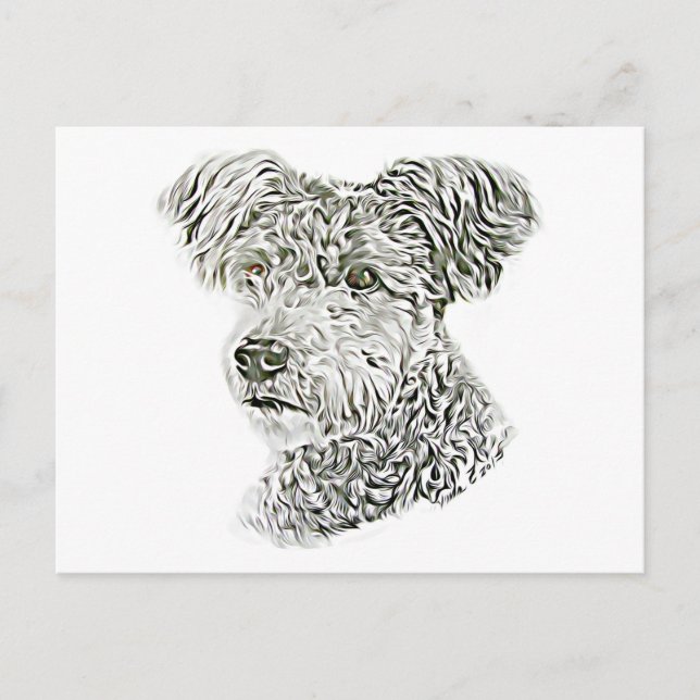 Pumi Vykort (Framsida)