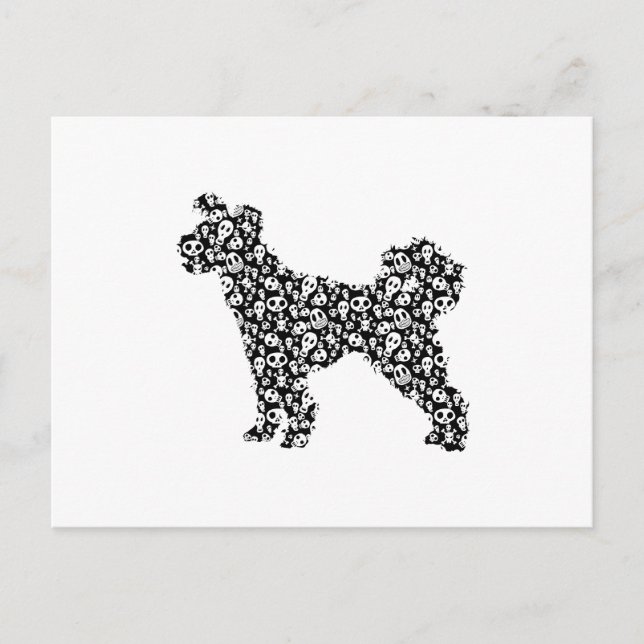 Pumi Vykort (Framsida)