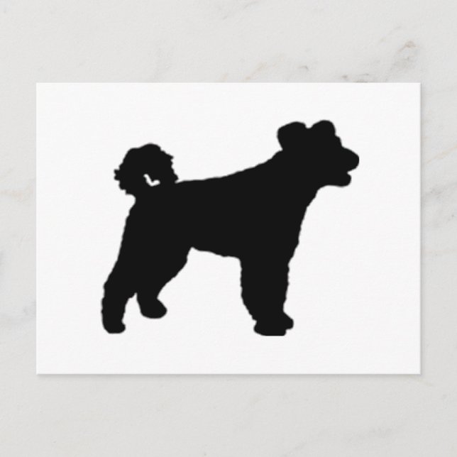 Pumisilo svart.png vykort (Framsida)