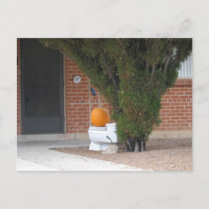 pumkin sitta på toalett vykort