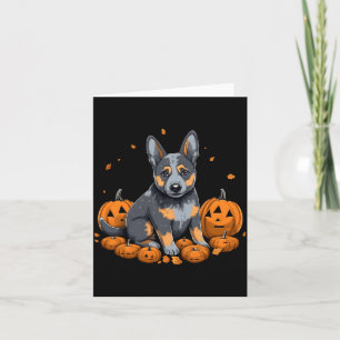 Pumpa Blue Heeler Dräkt Australiensisk Nötkreaturs Kort