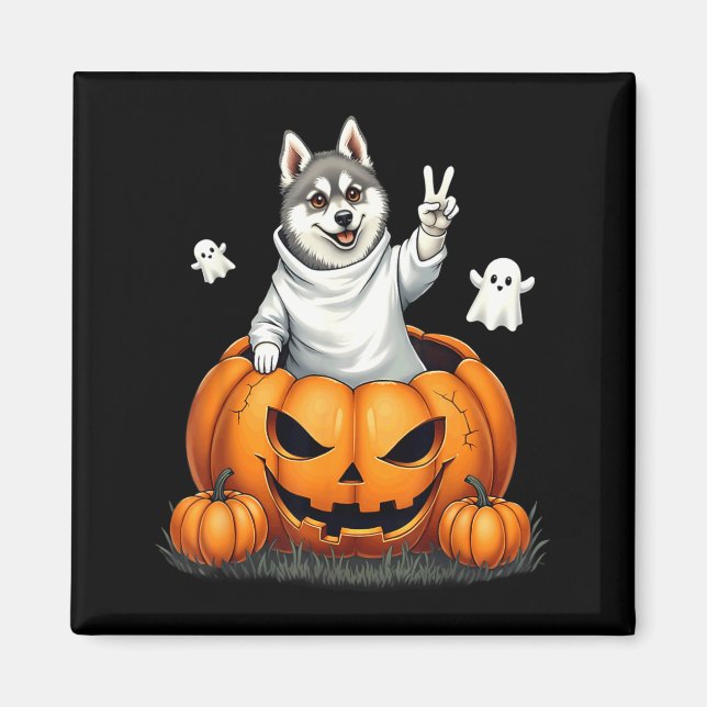 Pumpa Boo Spöke Alaskan Klee Kai Hund Halloween Magnet (Framsidan)