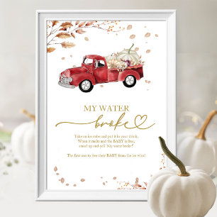 Pumpa Höst Baby Shower Min Vatten Blåste Sönder Le Poster