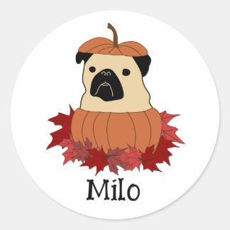 Pumpa i en Pumpkin Runt Klistermärke