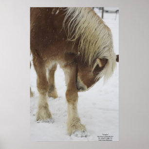 Pumpa i snö poster