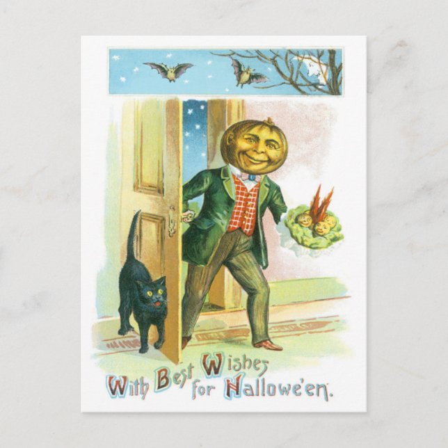 Pumpa Jack O Lantern Svart Katt Fladdermus Vykort (Framsida)