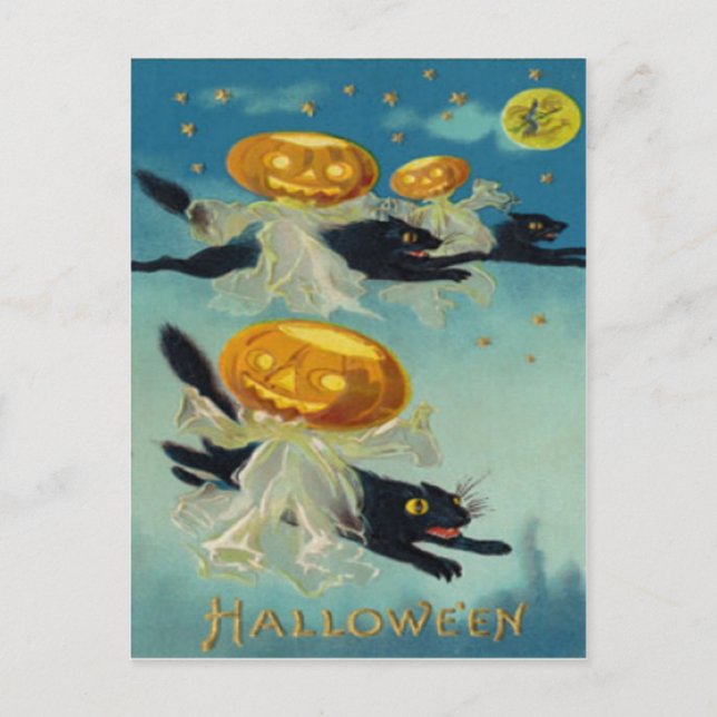 Pumpa Jack O Lantern Svart Katt Häxa Vykort (Framsida)