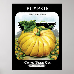 Pumpa kärnar ur paketetiketten poster
