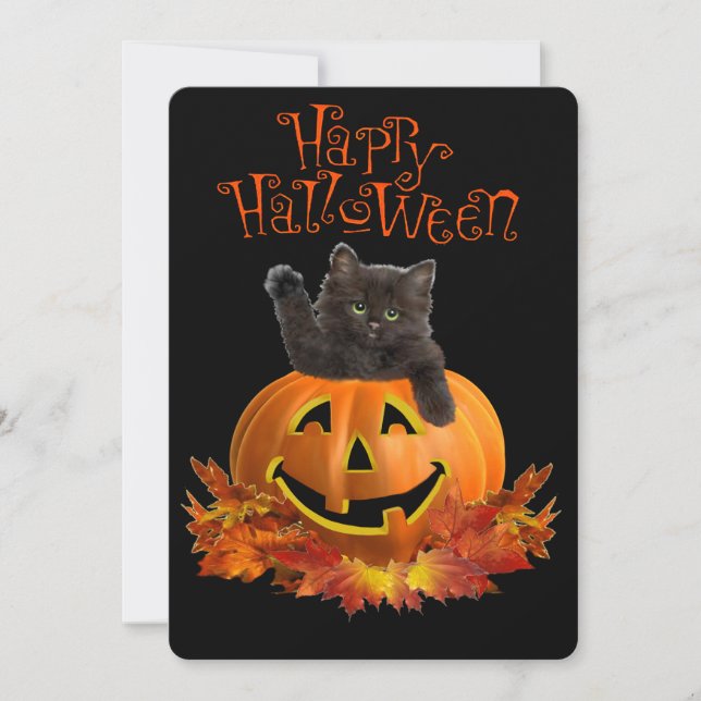 Pumpa Kitty (Framsida)