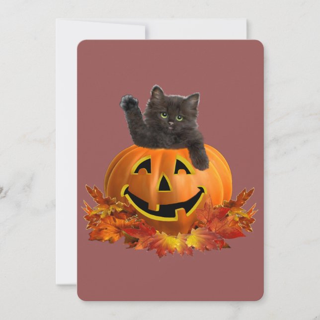 Pumpa Kitty (Framsida)