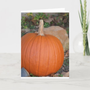 Pumpa Kort
