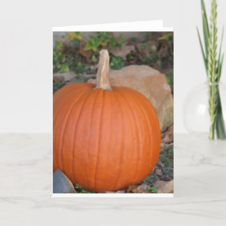 Pumpa Kort