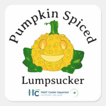 Pumpa Kryddad Sjösugare