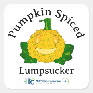 Pumpa Kryddad Sjösugare Fyrkantigt Klistermärke