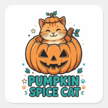 Pumpa Kryddkatt Halloween Orange katt i pumpa
